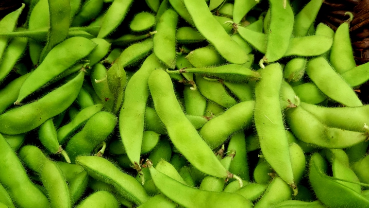 Edamame!